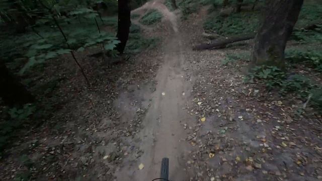 GoPro 11, 1/200. Образец