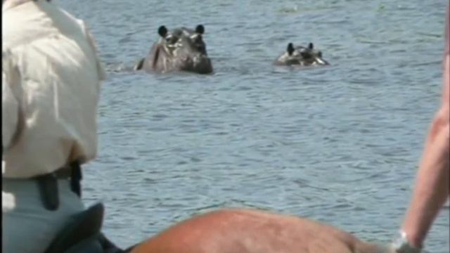 Horse Talk TV- Horse Riding Safari in Botswana with Globetrotting.com.au смотреть онлайн