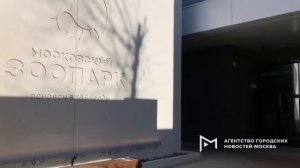 Новый вход в Московский зоопарк со стороны станции метро «Баррикадная».