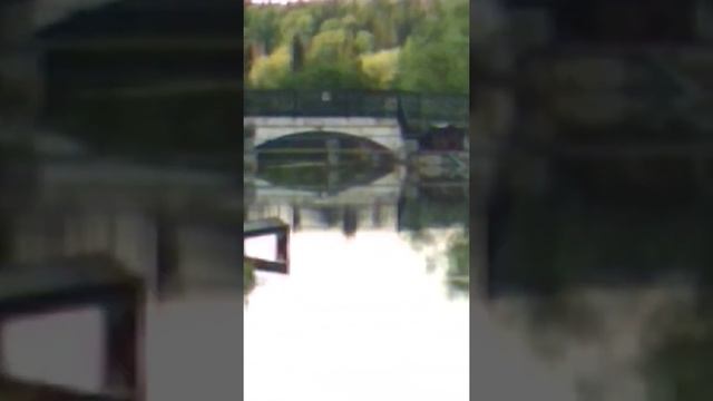 Жизнь чаек в санатории Кирова Вятские Увалы. смотреть онлайн