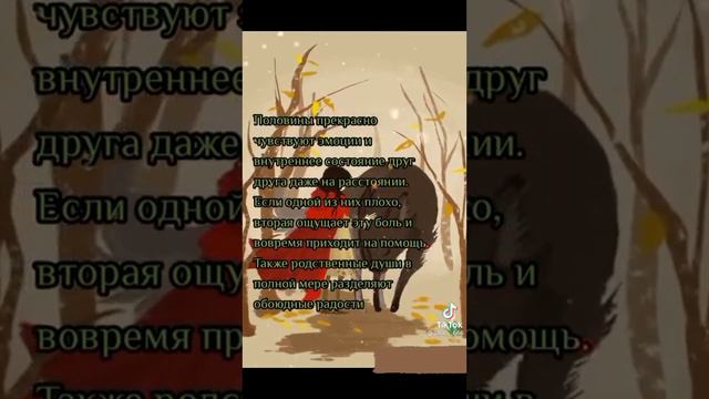 кто согласен? смотреть онлайн