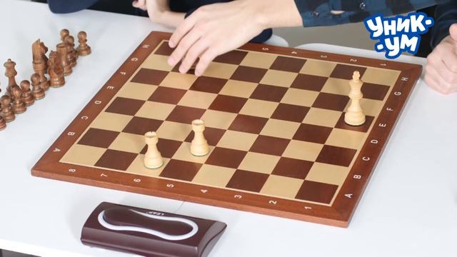 ШАХ И МАТ! Мат двумя ладьями, мат одной ладьей, мат ферзем смотреть онлайн