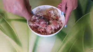 Чебуреки из дрожжевого теста.