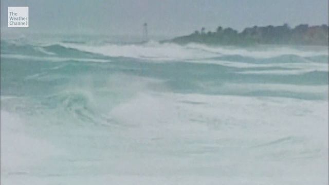 Storm Stories: Hurricane Wilma смотреть онлайн