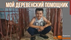 Лето в деревне какое оно? Дети в деревне. "Мое Подворье"