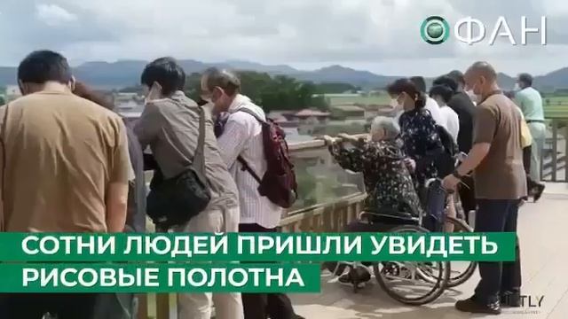 Искусство на рисе смотреть онлайн