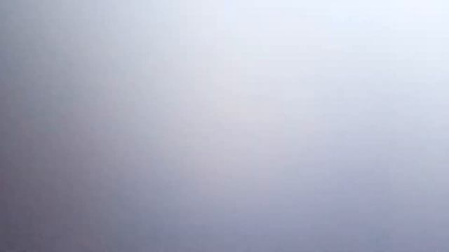 Кормление голубей смотреть онлайн