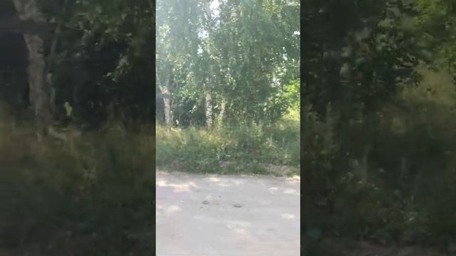Участок в налимихе
