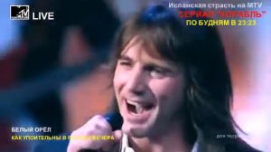 БЕЛЫЙ ОРЕЛ КАК УПОИТЕЛЬНЫ В РОССИИ ВЕЧЕРА КРЕМЛЬ