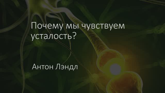 Почему мы чувствуем усталость? Причины усталости человека