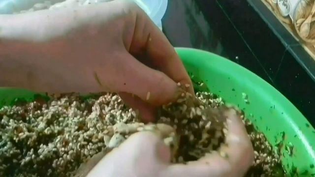 Мумбар в домашних условиях от начала до конца ? смотреть онлайн