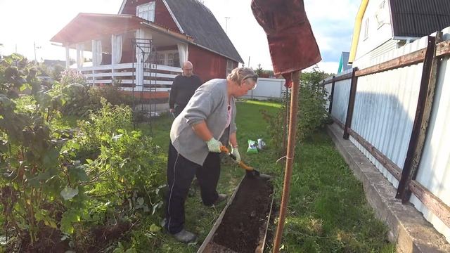 На даче/ отпуск начался/пересаживаем малину смотреть онлайн