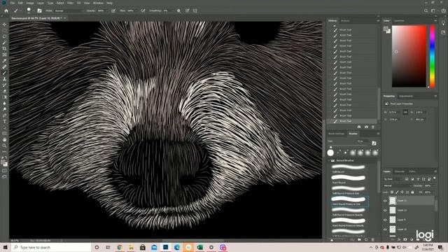 How to Draw a Raccoon смотреть онлайн