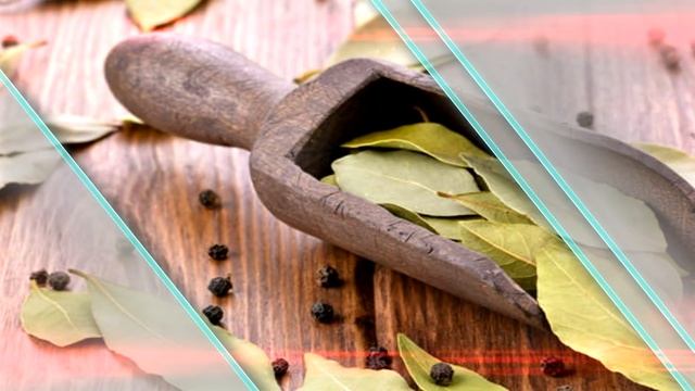 Зачем надо поджигать лавровый лист в вашем доме? Вы будете удивлены! смотреть онлайн