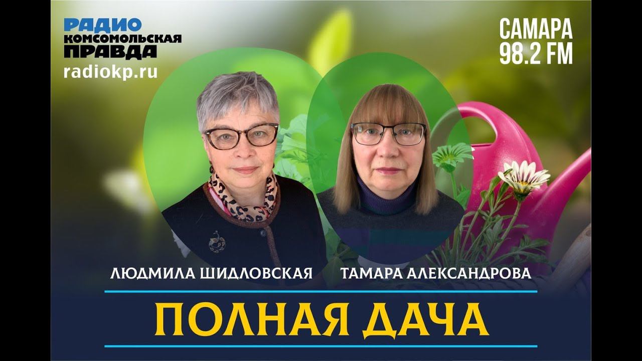 Полная дача. Какой грунт лучше всего подойдет для посева томатов? смотреть онлайн