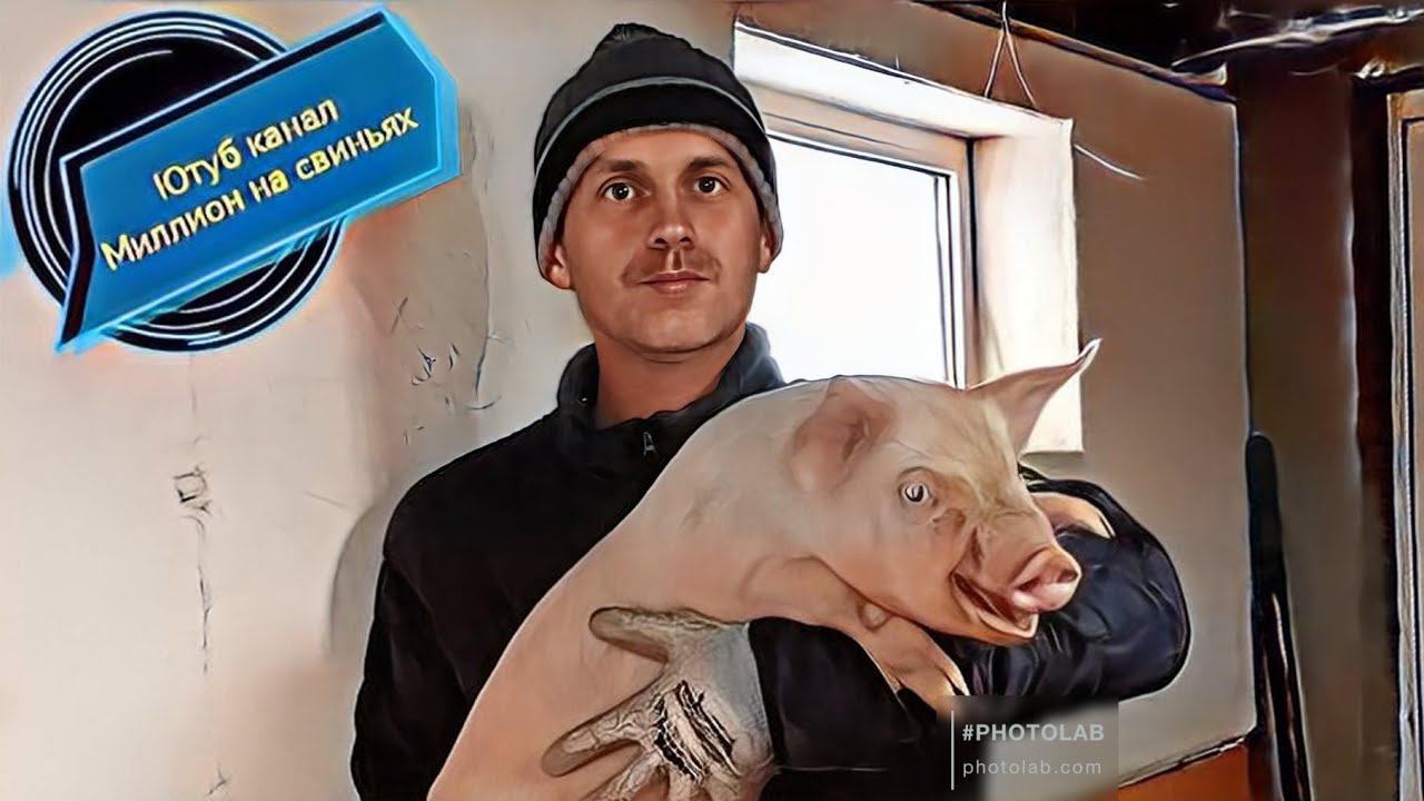 Быки сбежали из загона! Ремонт кухни своими руками! смотреть онлайн