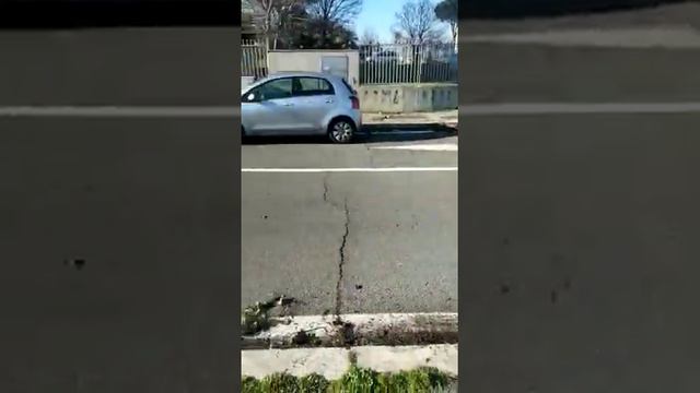Giardino di Roma, pulizia di Via Paolo Stoppa del 22 gennaio 2022 смотреть онлайн