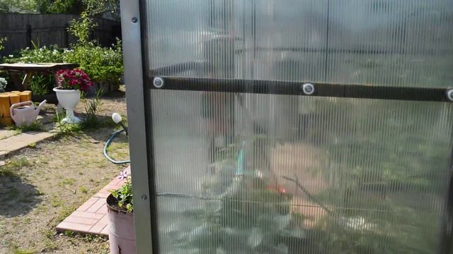 Новый участок в июле: что поменялось, розы, новые планы! смотреть онлайн