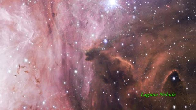 OBLIVION _ M83 - Susanne Sundfor [Music Video]