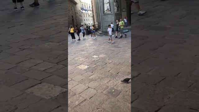 Италия.|Флоренция.| Palazzo Vecchio.| Невероятно красивая игра на скрипке. смотреть онлайн