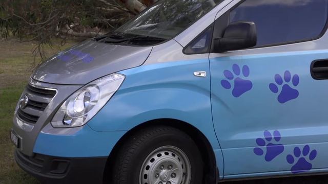 Hyundai Help For Kids Auto Link Assistance Dogs Australia Hype Reel смотреть онлайн
