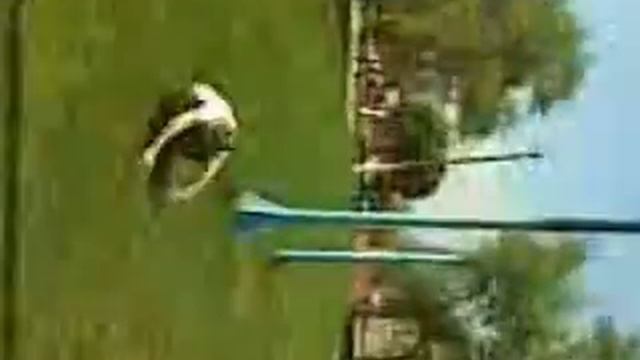 волк 7 школы.wmv смотреть онлайн