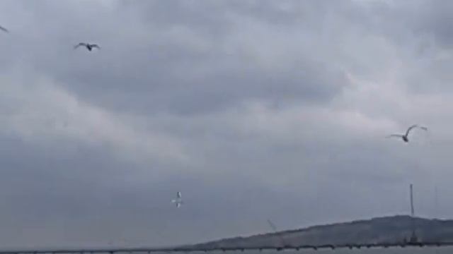 Через Керченский пролив, технический мост смотреть онлайн