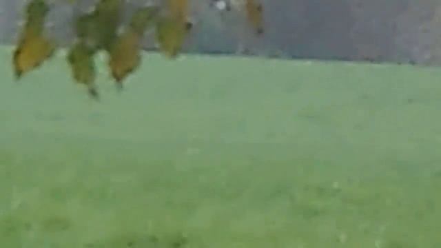 Test Video Appareil Photo Nikon Coolpix S2700 смотреть онлайн