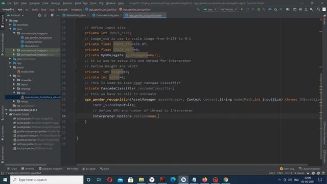 Age and Gender Recognition Android App Using TensorFlow Lite (GPU) and OpenCV: Loading Model Part 2 смотреть онлайн