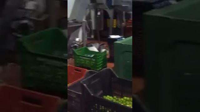 Aito Helix Group - Aito Agro ITALY