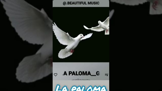 02.LA PALOMA 6.9 GUITAR HAWOAI смотреть онлайн