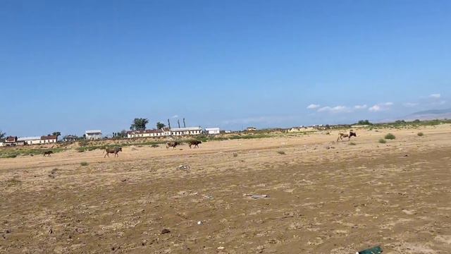Экраноплан Лунь, море в Дербенте, путешествие на машине в Дагестан смотреть онлайн