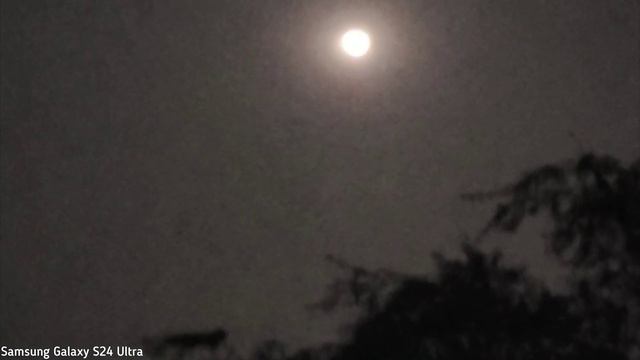 Samsung Galaxy S24 Ultra vs Huawei Mate 60 Pro Plus Zoom Test Comparison смотреть онлайн