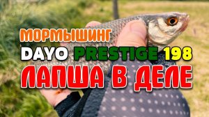 СПИННИНГ для мормышинга DAYO Prestige 198 | Достал из чулана и обрыбил #мормышинг #nanojig