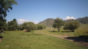 В МОНГОЛИЮ НА ЖИГУЛЯХ 12.000КМ: ЧАСТЬ 1! Дорога cмeрти, Горный Алтай, Начало поездки!