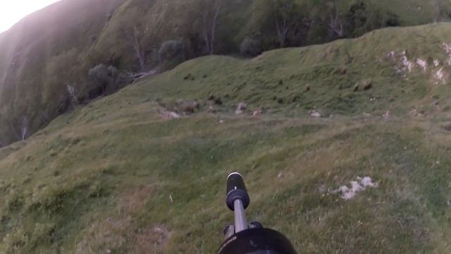 fallow deer hunt with 22lr смотреть онлайн