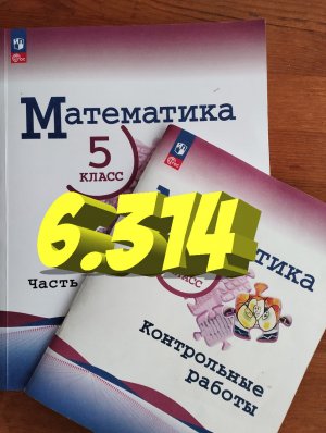 математика 5 класс номер 6.314