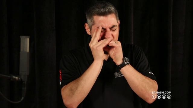 Hohner Progressive Series Harmonicas | Everything You Need To Know смотреть онлайн