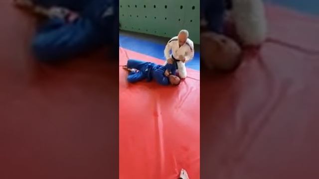 дзю-дзюцу (джиу-джицу)