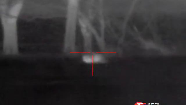 Шакалы на приваде!(1) смотреть онлайн