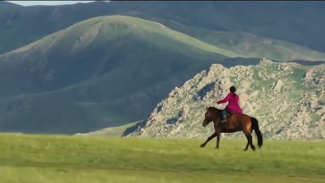 красивое и завораживающее видео с лошадьми смотреть онлайн