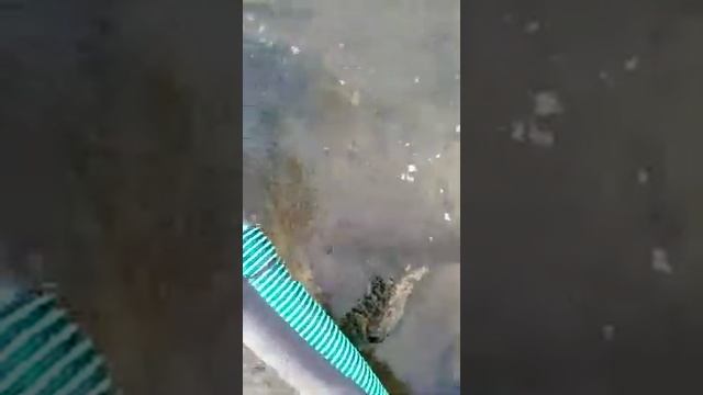 Испытание 3' эжектора. смотреть онлайн