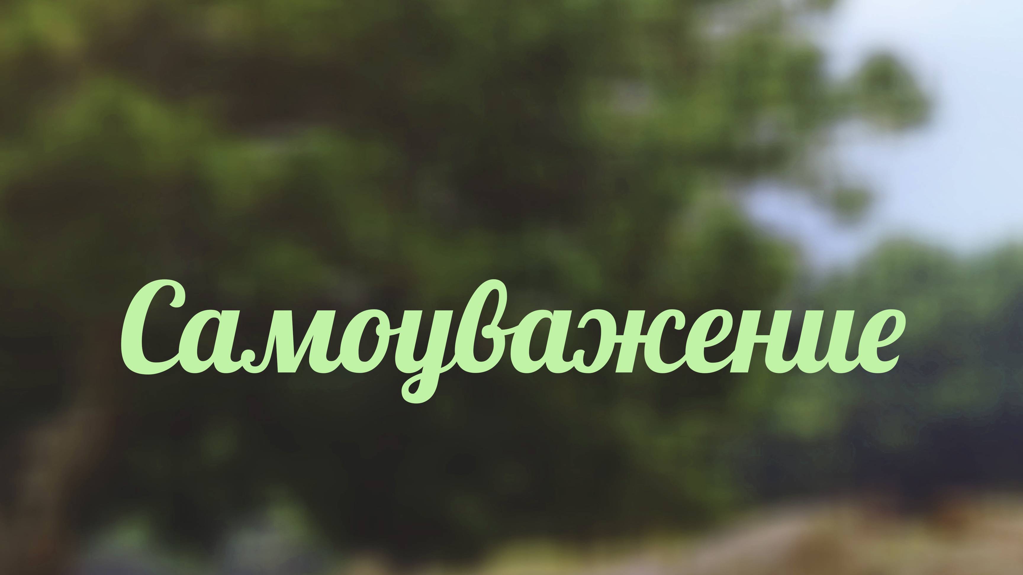 BS217 Rus 17. Самоуважение и современность