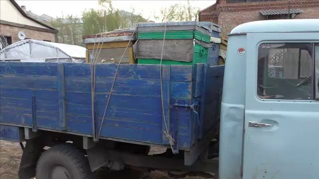 перевозка пчёл смотреть онлайн