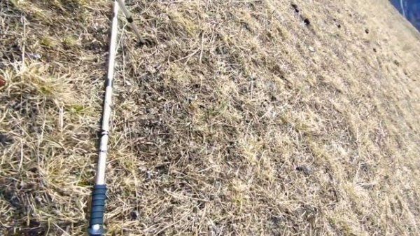 Поход Хилдехарой))