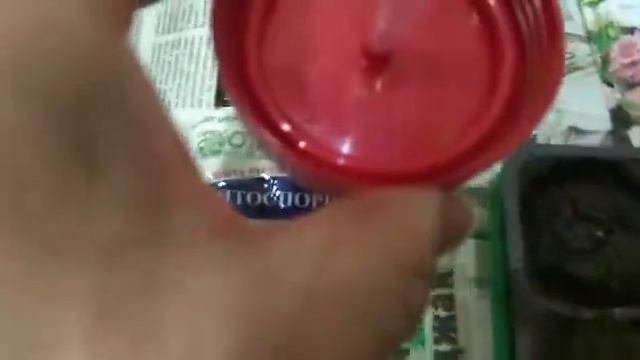 Влог.Мои будни.Посеяла Петунии и Эустому. смотреть онлайн