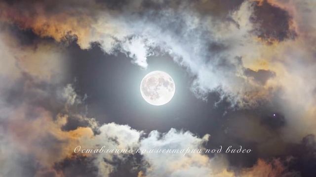 Лучшие качества - СКОРПИОН. Знаки зодиака. смотреть онлайн