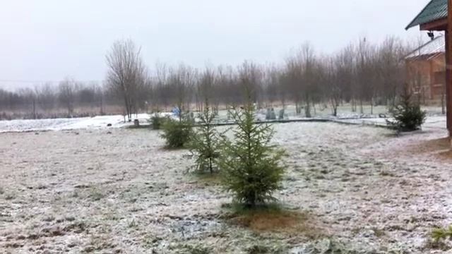 Метель в Трубицино.m4v смотреть онлайн