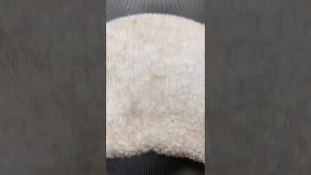 Любимое тесто для беляшей! Всегда удачное! смотреть онлайн