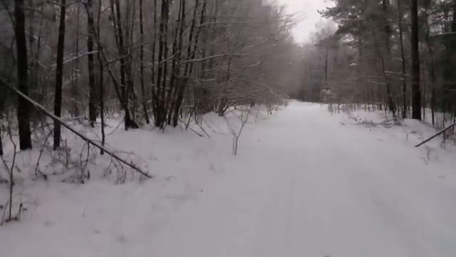 Прогулка по зимнему лесу смотреть онлайн